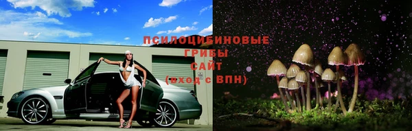 винт Балахна