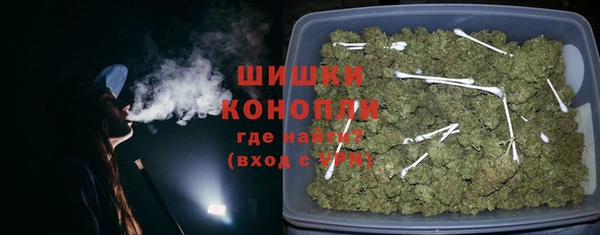 мет Ладушкин