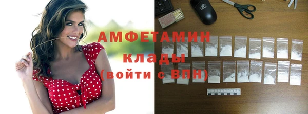 гидра Лагань
