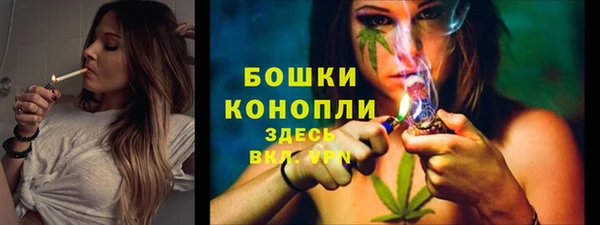 трава Лабытнанги