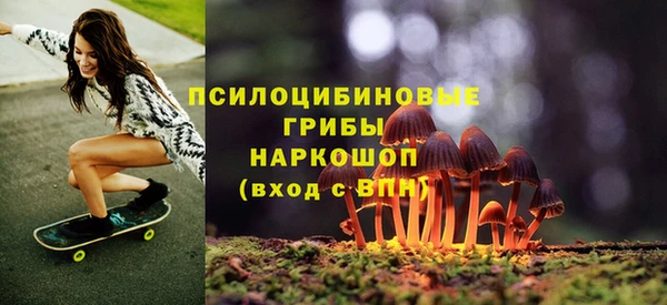 трава Лабытнанги