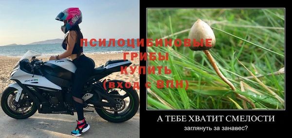 трава Лабытнанги