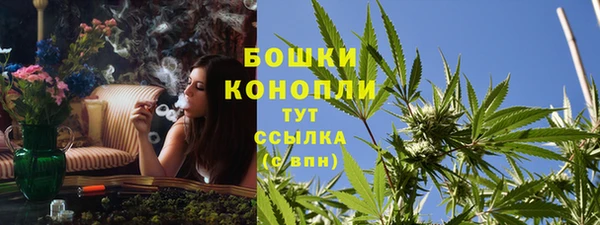 гидра Лагань
