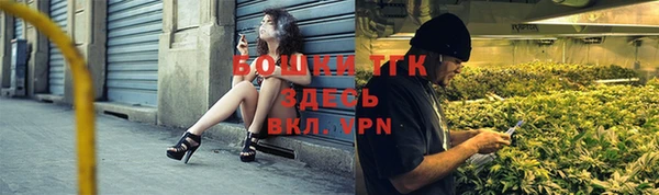 ПСИЛОЦИБИНОВЫЕ ГРИБЫ Новосибирск